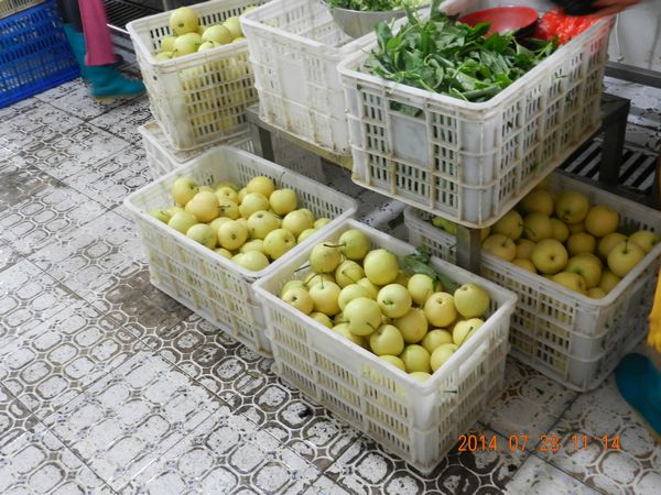 ��ҳ- �Ϲ�NG28�������ֹٷ���վ