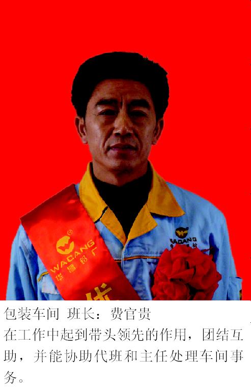 2008年度南宫NG28铝厂优良员工