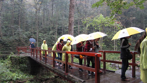 我公司组织部门员工张家界，凤凰古城四日游