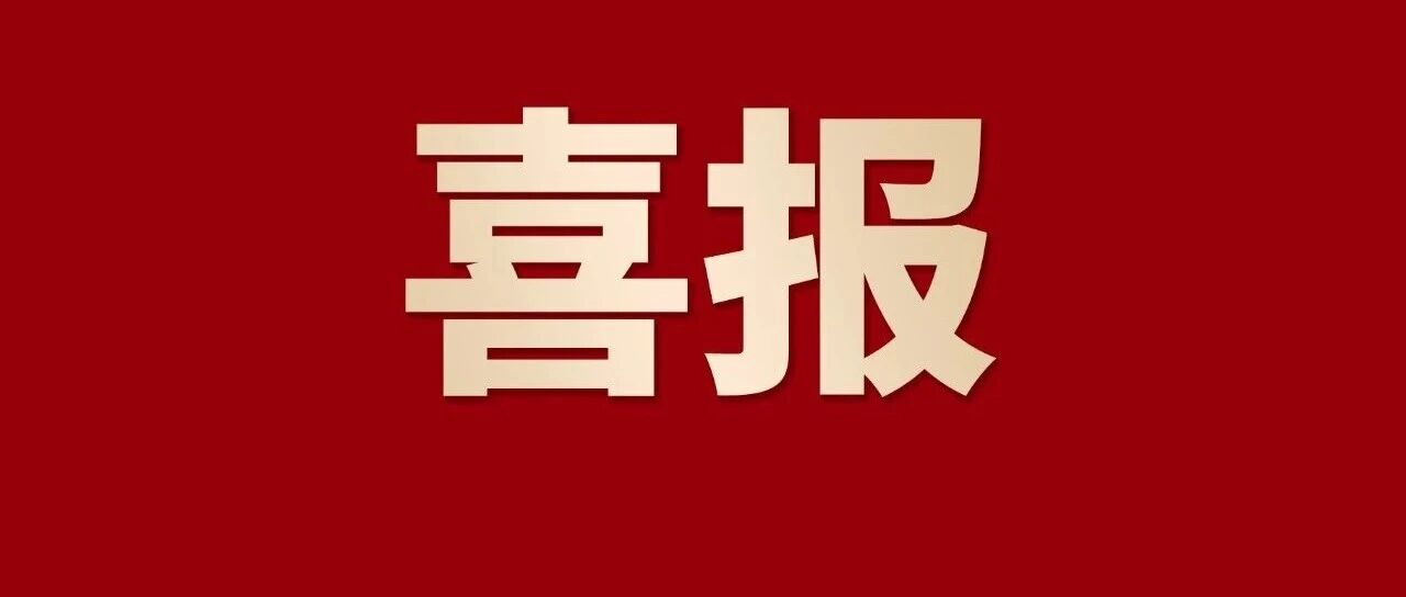 喜报 | 南宫NG28集团蝉联佛山企业100强、造作业100强、民企100强，三大榜单！