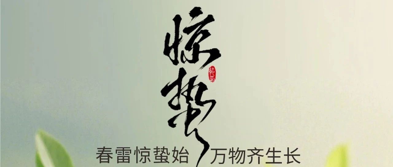 惊蛰 | 春雷惊蛰始 万物齐成长