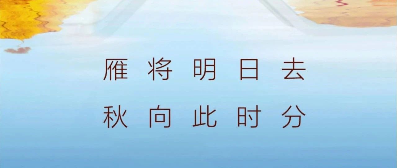 秋分 | 雁将明日去  秋向此时辰！