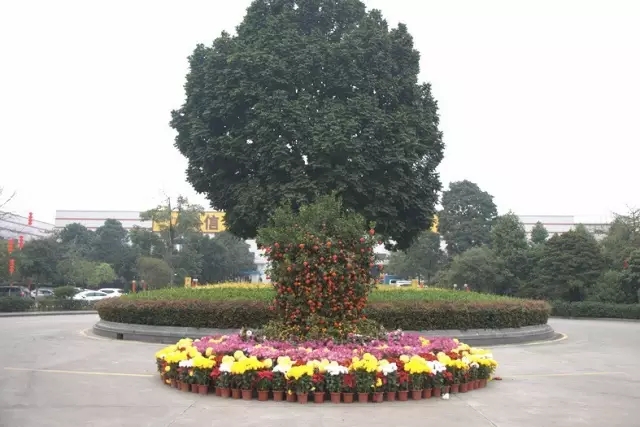 ��ҳ- �Ϲ�NG28�������ֹٷ���վ