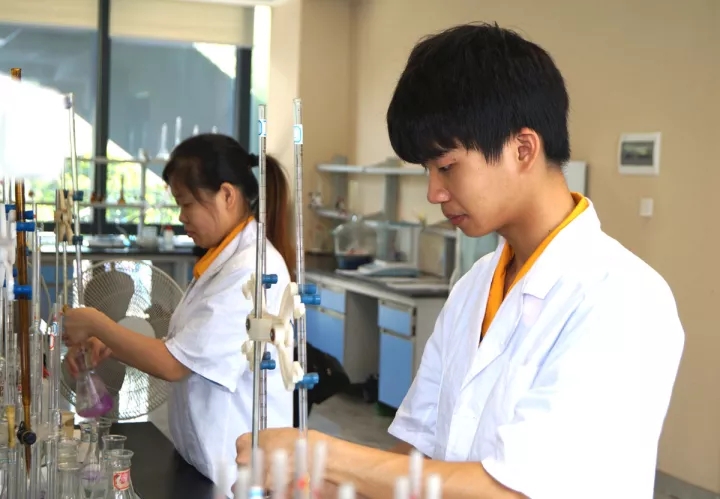 ��ҳ- �Ϲ�NG28�������ֹٷ���վ