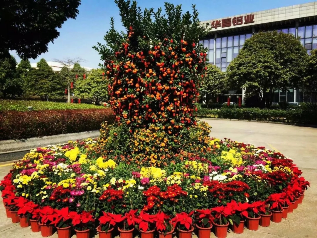 ��ҳ- �Ϲ�NG28�������ֹٷ���վ